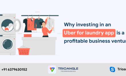 Why investing in an Uber for laundry app is a profitable business venture