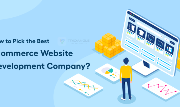 How to Pick the Best Ecommerce Website Development Company?