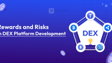 Rewards and Risks In DEX Platform Development