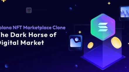 Solana NFT Marketplace Clone: The Dark Horse of Digital Market