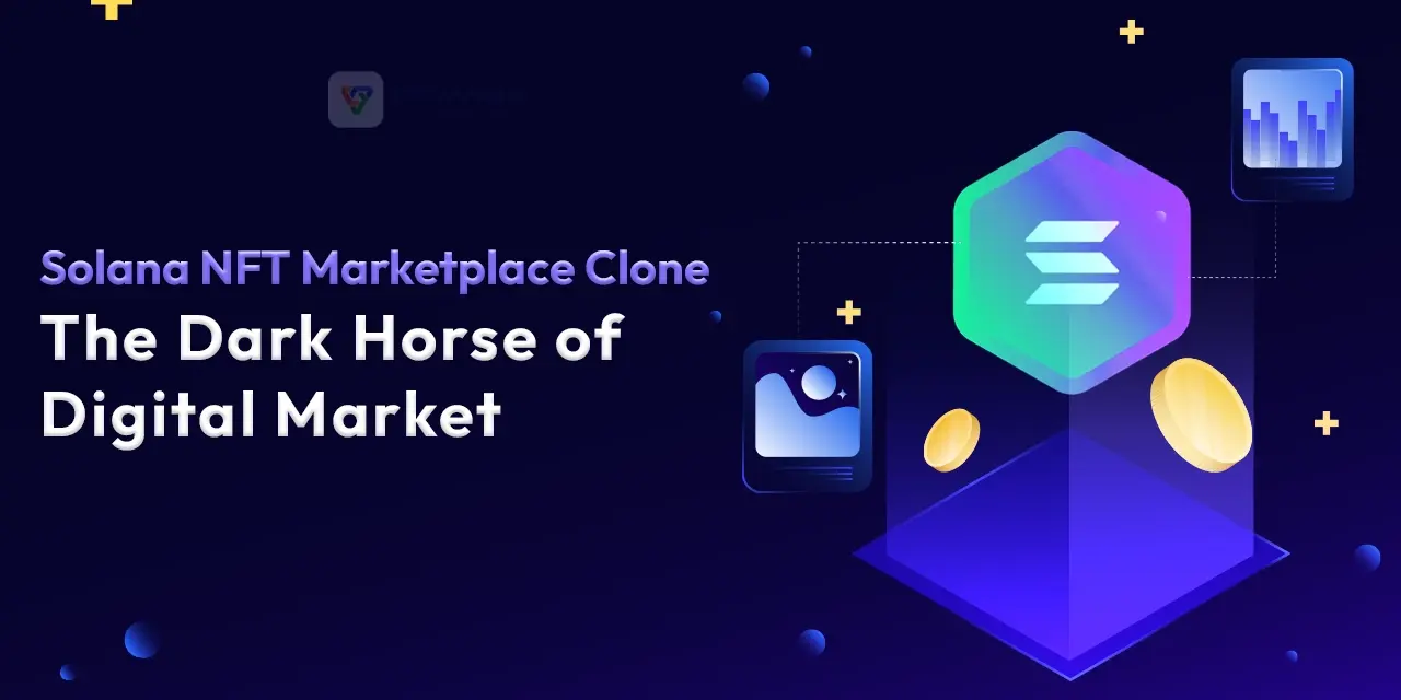 Solana NFT Marketplace Clone: The Dark Horse of Digital Market