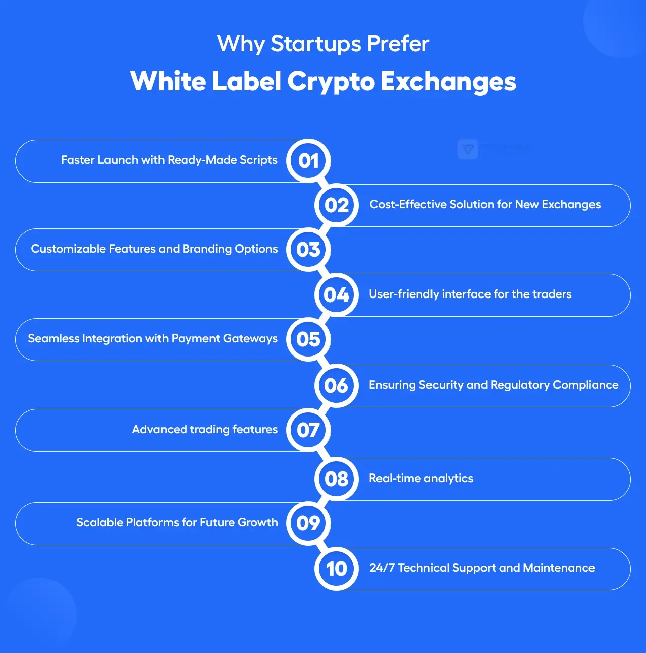 Why Startups Prefer White Label Crypto Exchanges