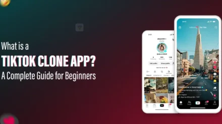 What is a TikTok Clone App? A Complete Guide for Beginners 