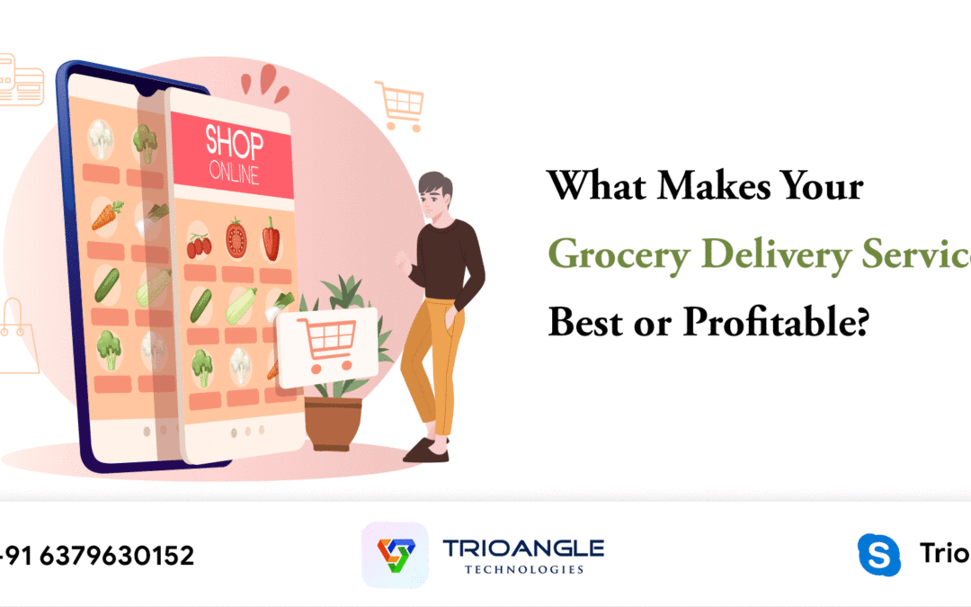 What Makes Your Grocery Delivery Services Best or Profitable? Trioangle