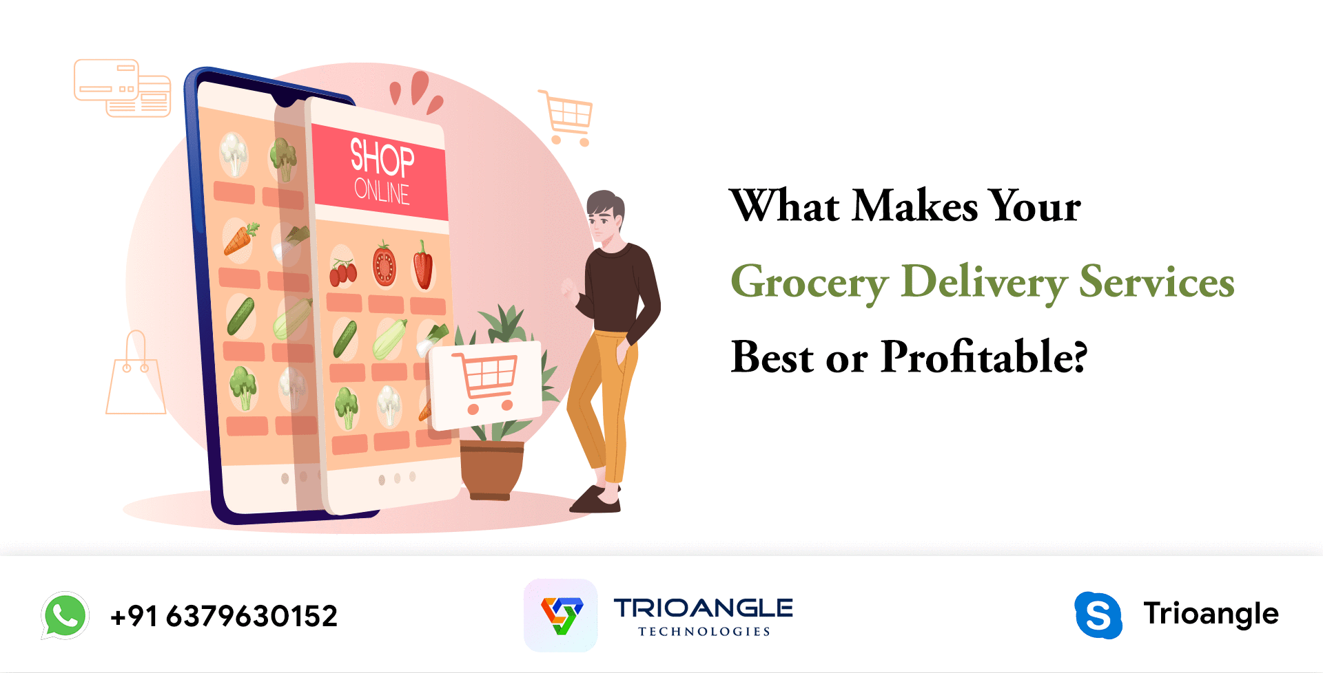 What Makes Your Grocery Delivery Services Best or Profitable?