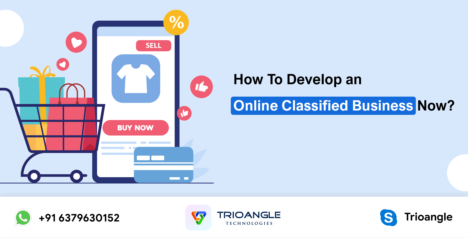 How To Develop an Online Classified Business Now!