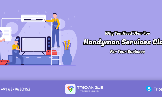 Why You Need Uber For Handyman Services Clone For Your Business