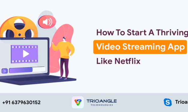 How To Start A Thriving Video Streaming App Like Netflix?