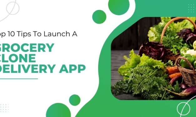 <strong>Top 10 Tips To Launch A Grocery Clone Delivery App</strong>