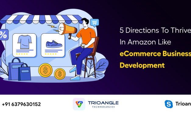 5 Directions To Thrive In Amazon Like eCommerce Business Development