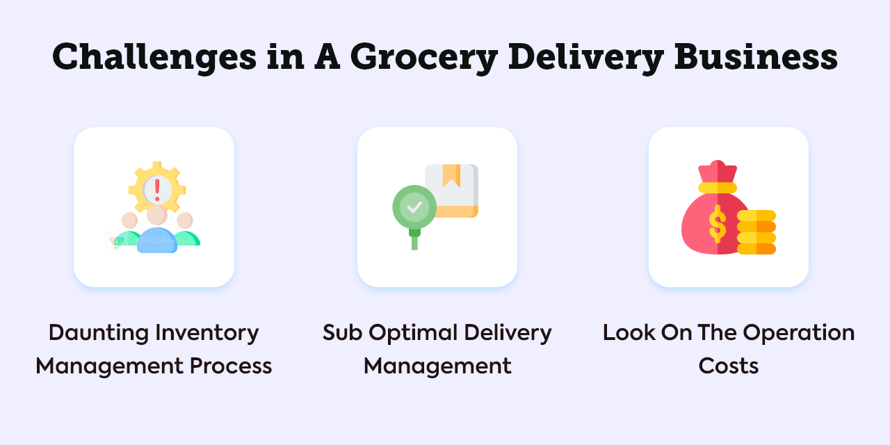 How To Start A Grocery Delivery Business?