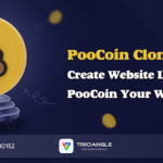 PooCoin Clone Script: Create Website Like PooCoin Your Way!