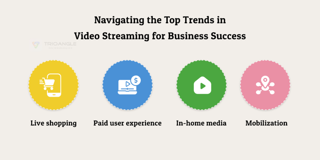 online video streaming business plan online video streaming business plan