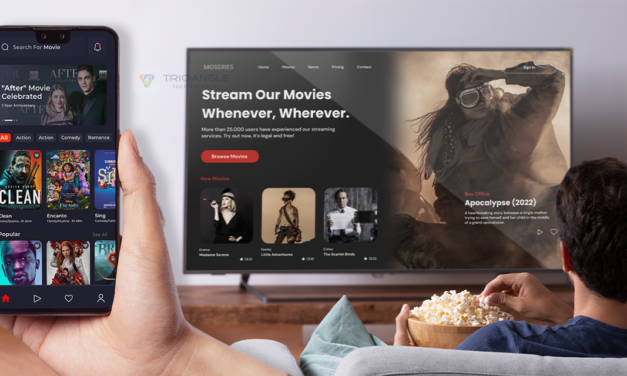 How To Start a Video-Streaming Business With Netflix Clone?