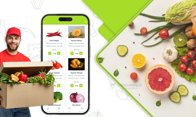 Why is Bigbasket Clone App Essential for Grocery Startups?