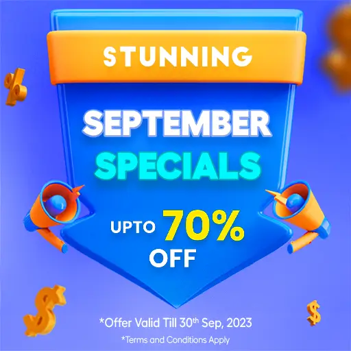 Stunning Offer Banner